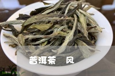 普洱茶 风/2023090545369